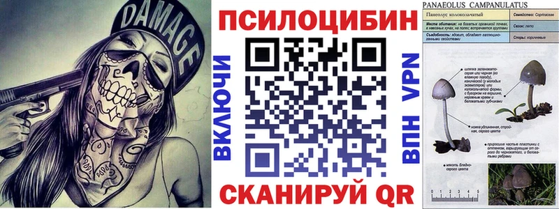 Галлюциногенные грибы мицелий мега вход Куровское где найти